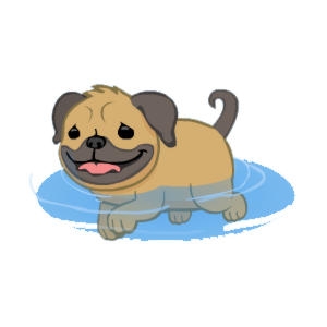 Butterscotch the Paddling Pug